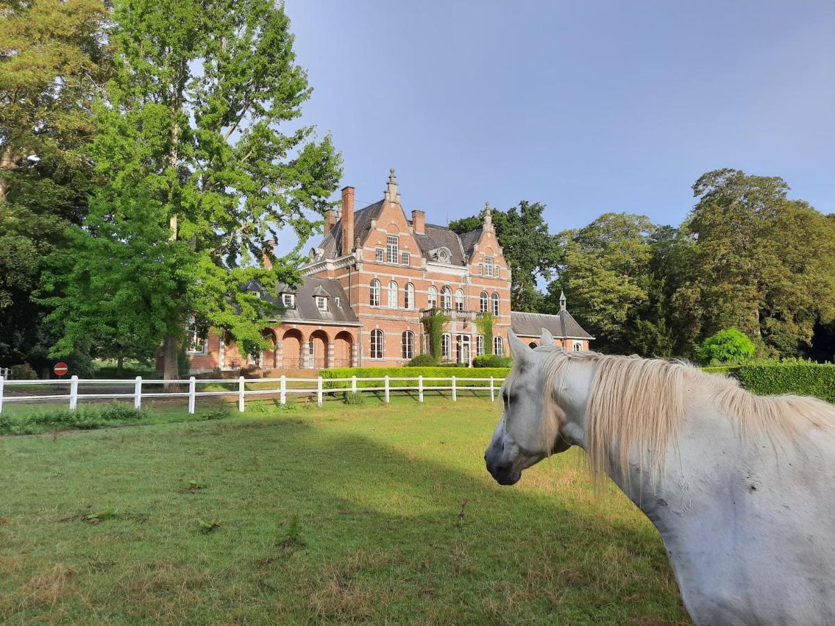 B&B Chateau De Ramegnies-Chin 图尔奈 外观 照片